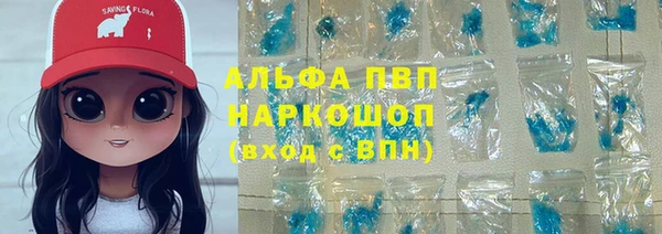 индика Богданович