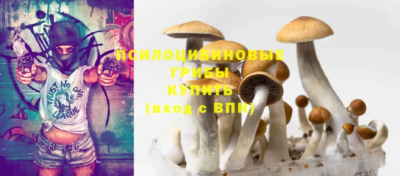 Псилоцибиновые грибы MAGIC MUSHROOMS  Серафимович 