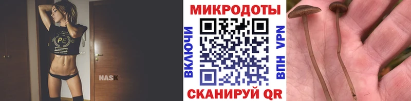 Галлюциногенные грибы ЛСД  Серафимович 